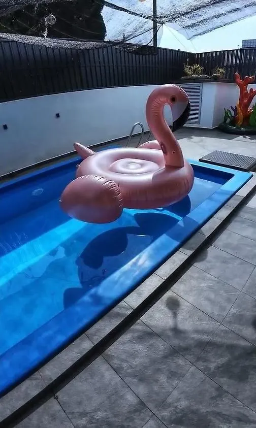 Holiday home Ocean Private Pool Homestay Ipoh 海洋风情泳池民宿 14Px（Wellsonhome） Malaysia
